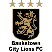 https://img.customunion.org/img/football/team/3611895b1d993768346b422472166483.png